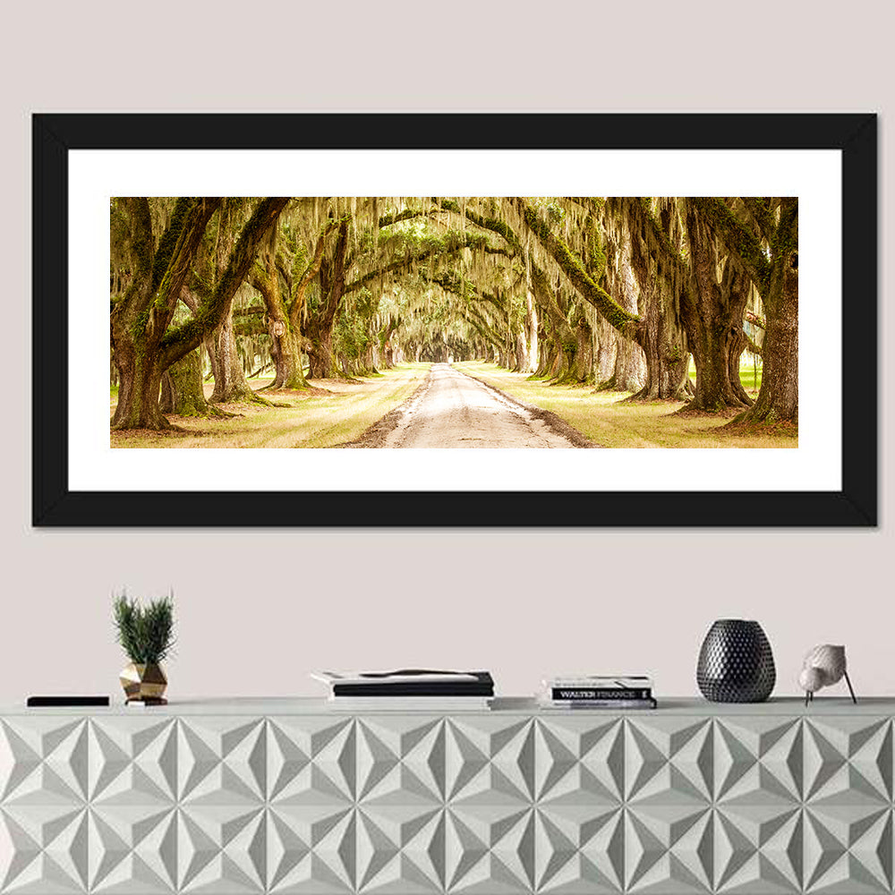 Oak Pathway Under Spanish Moss Wall Art in a room, panoramic