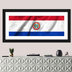 Paraguay Flag with Emblem Wall Art