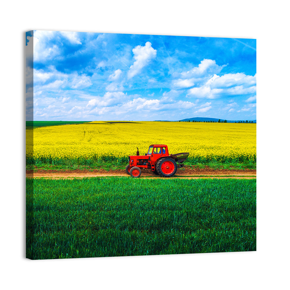 Aerial View Over Agricultural Fields Wall Art