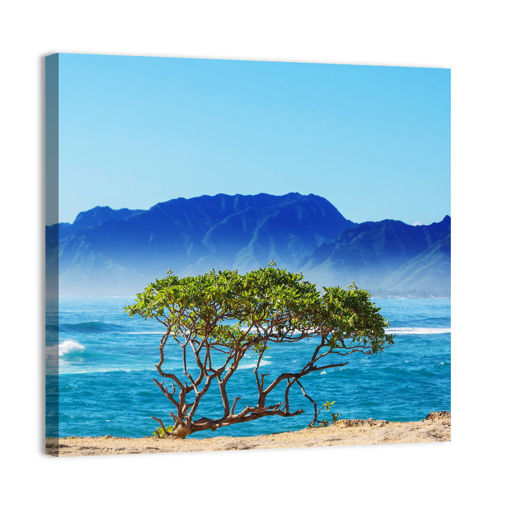 Hawaiian Coastal Tree on Rocky Shore Wall Art