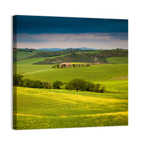 Tuscany In Summer Wall Art