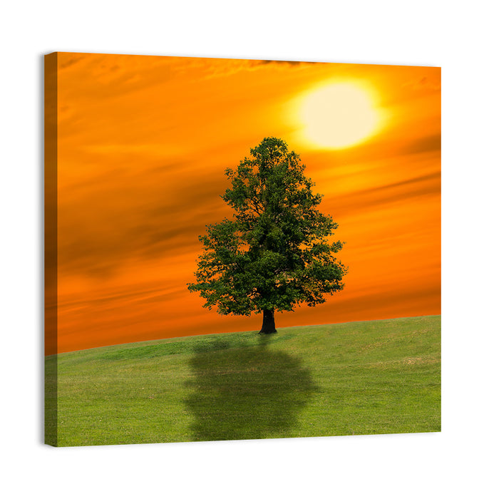 Lonely Tree on Green Hill at Sunset Wall Art as a canvas print