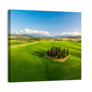 Italian Cypresses Wall Art