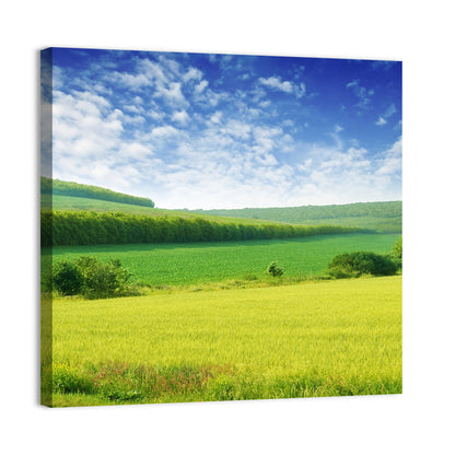 Green Spring Meadow Wall Art