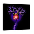 Microscopic Human Neuron Illustration Wall Art