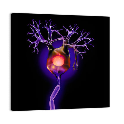 Human Neuron Cell Wall Art