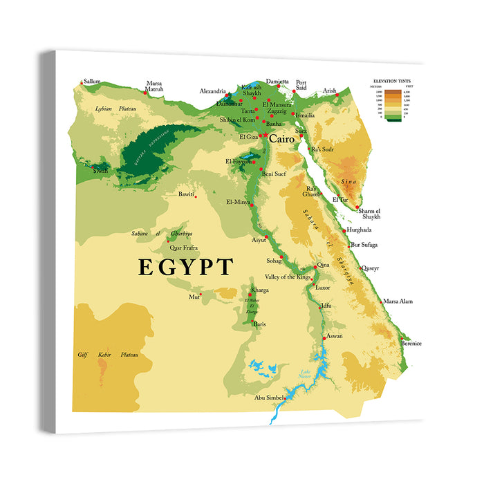 Egypt Topographic Map Wall Art as a canvas print