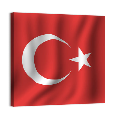 Turkish National Flag Wall Art