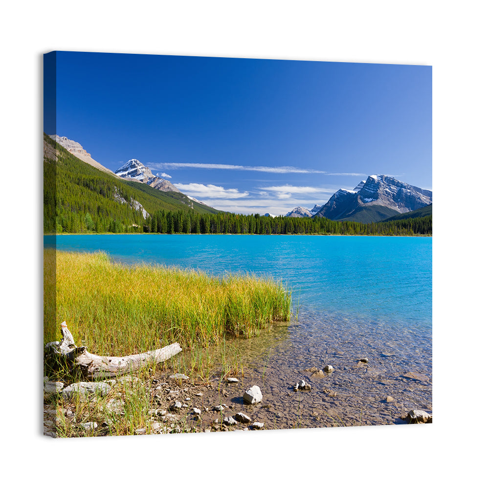 Jasper Lake with Driftwood Wall Art, canvas print, square