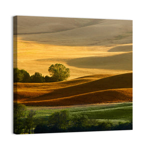 Tuscany Region Italy Wall Art