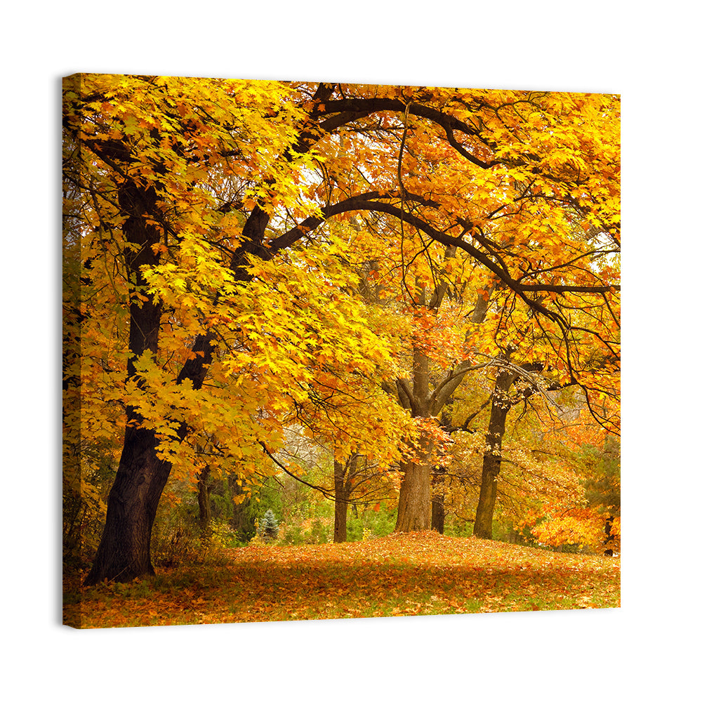 Golden Canopy in Autumn Park Wall Art, canvas print, square