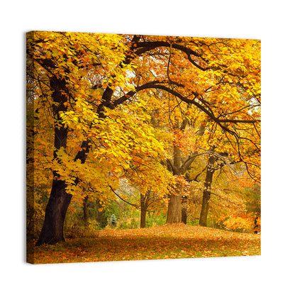 Autumn Gold Trees In Park Wall Art