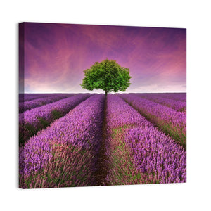 Summer Lavender Field Wall Art