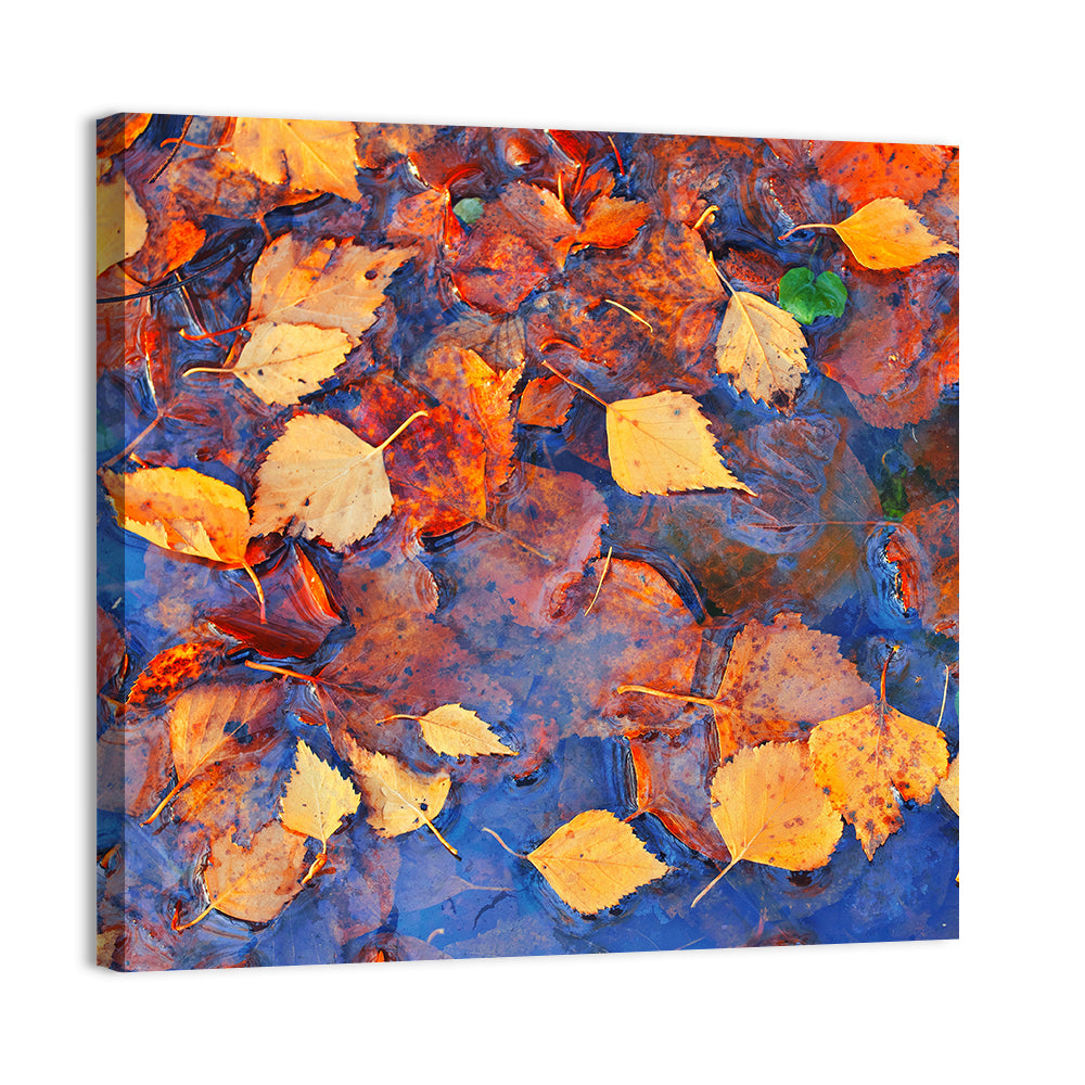 Birch Leaves in Rain Puddle Wall Art