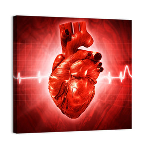 Human Heart ECG Wall Art