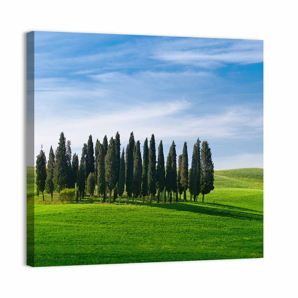 Tuscany Rolling Hills with Cypresses Wall Art, canvas print, square