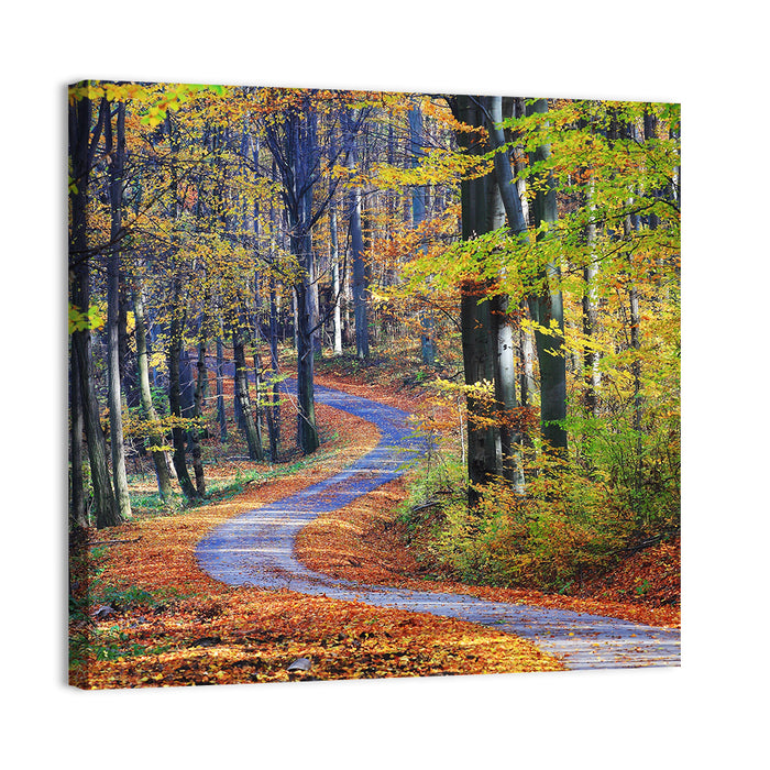 Winding Autumn Forest Path Wall Art as a canvas print