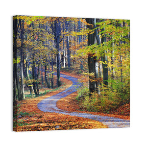 Winding Path Through Autumn Forest Wall Art