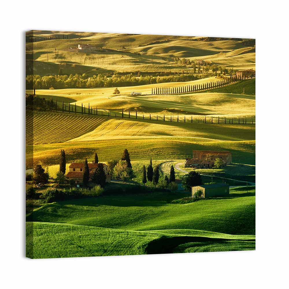 Tuscany Fields at Golden Hour Wall Art, canvas print, square