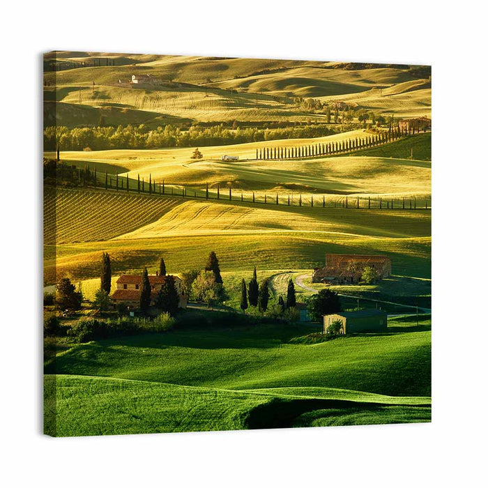 Tuscany Fields at Golden Hour Wall Art as a canvas print