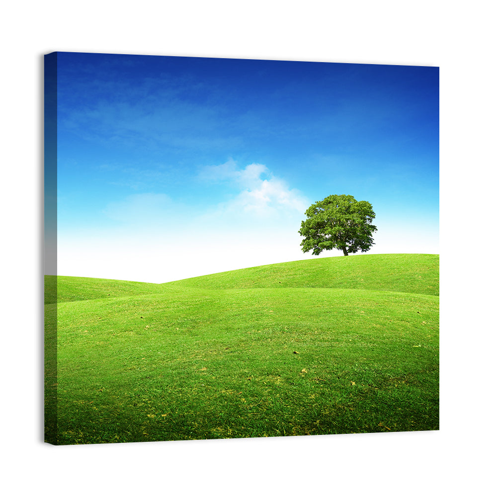 Lone Tree on Rolling Green Hill Wall Art, canvas print, square