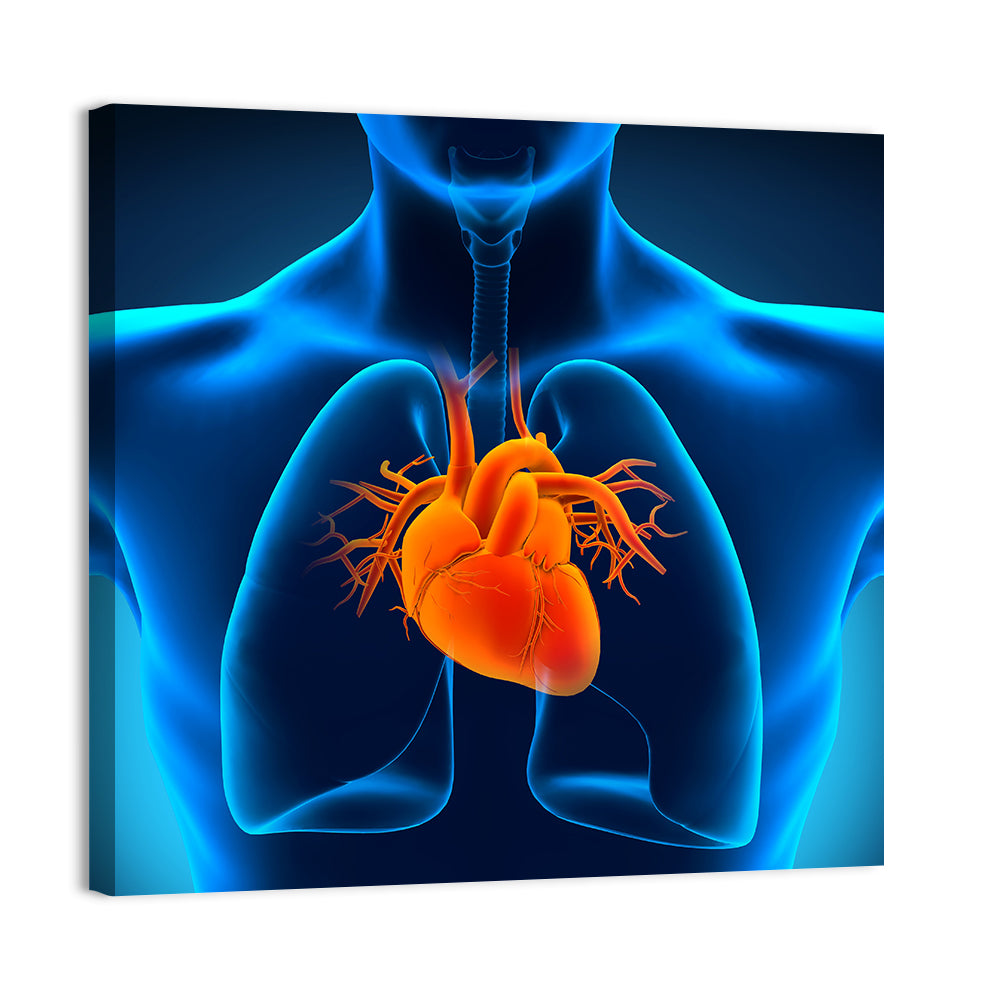 Glowing Heart Anatomy Illustration Wall Art