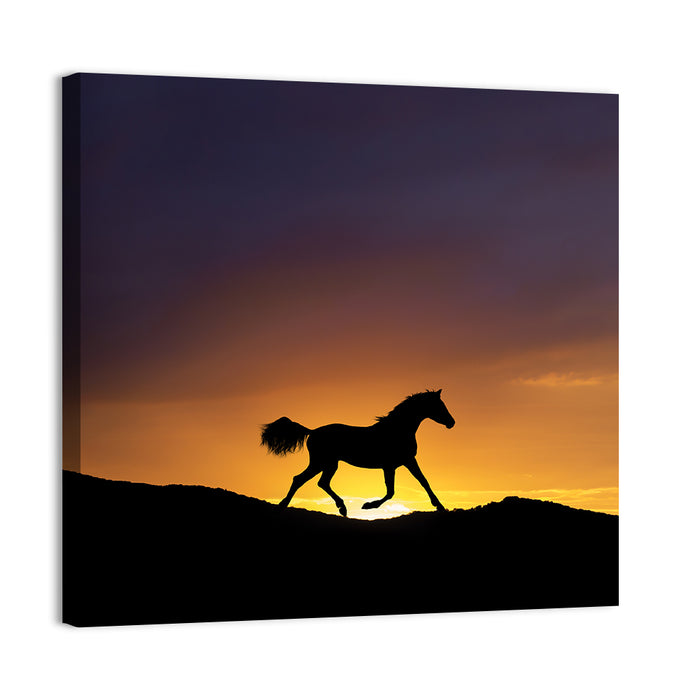 Running Horse Silhouette Wall Art as a canvas print