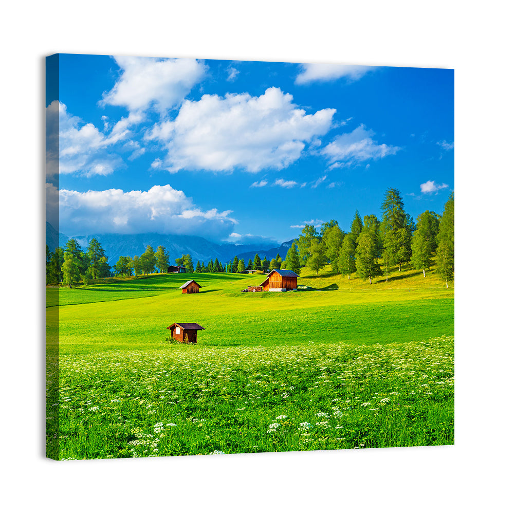Alpine Valley Meadow, Austria Wall Art