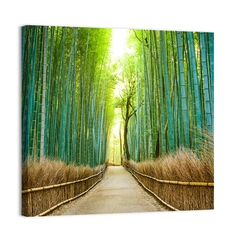 Arashiyama Bamboo Path, Kyoto Wall Art