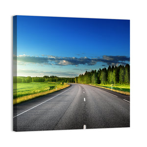Road In Deep Forest Russia Wall Art