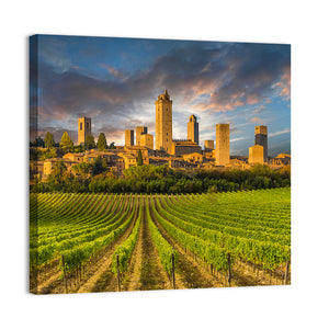 Vineyards Of San Gimignano Tuscany Wall Art