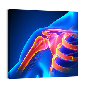 Shoulder Joint Anatomy Pain Wall Art