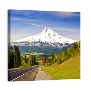 Mt Hood from a Road Wall Art