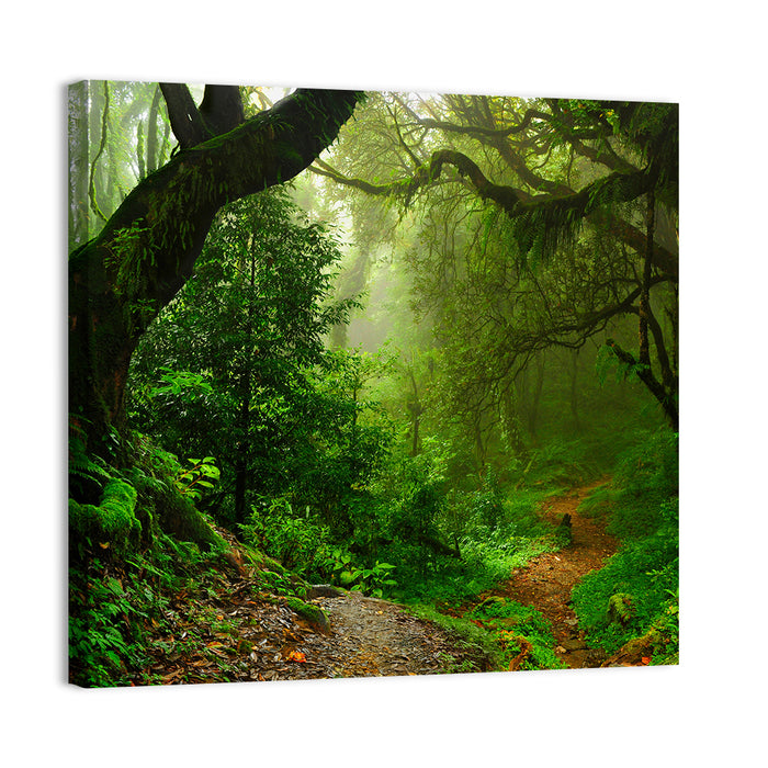Misty Forest Trail in Nepal Wall Art as a canvas print