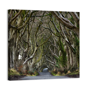 Dark Hedges Pathway Wall Art