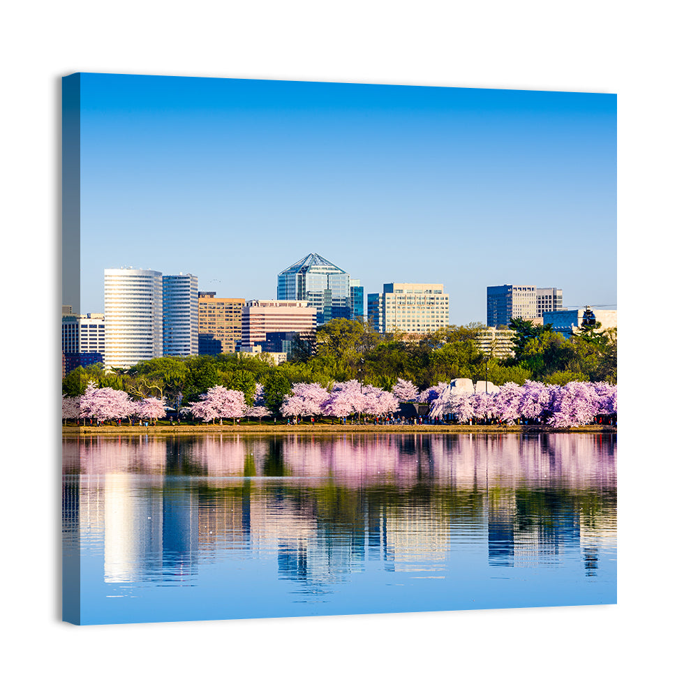 Tidal Basin Washington D.c. Cherry Blossoms Wall Art