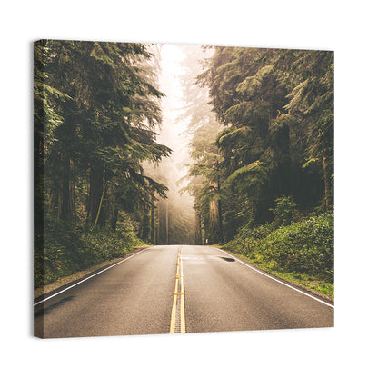 Redwood Highway In Northern California Wall Art