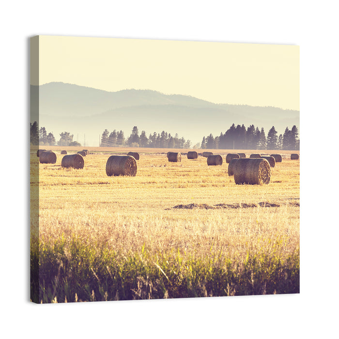 Golden Hay Bales Field Wall Art as a canvas print
