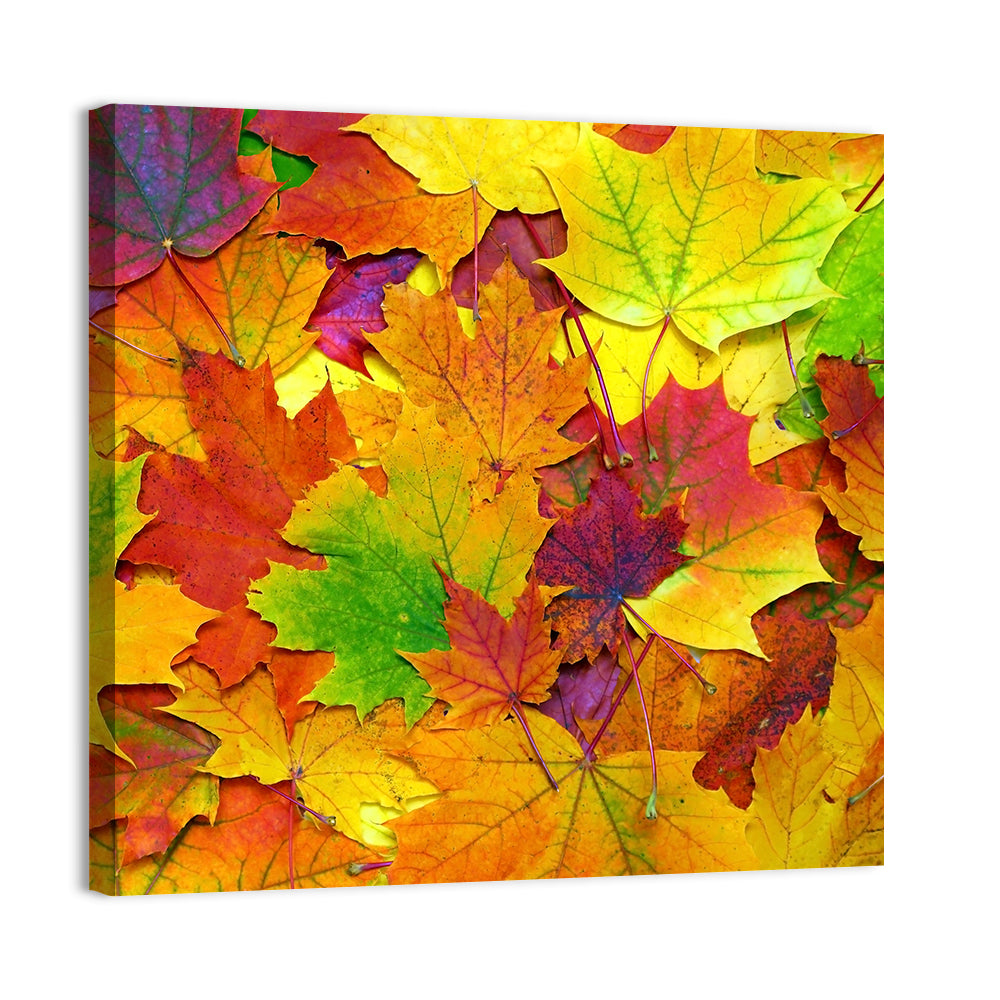 Colorful Autumn Leaves Wall Art, canvas print, square