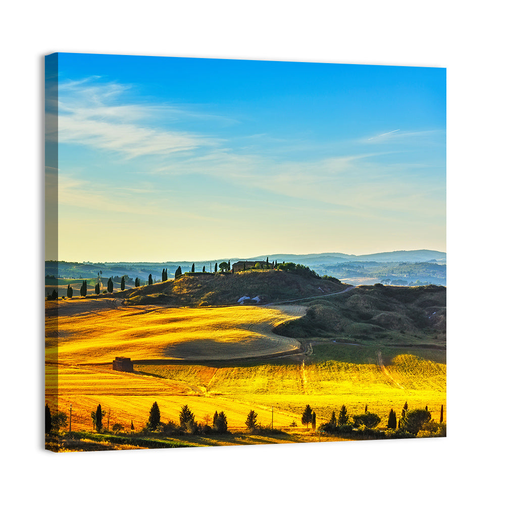 Cypress Trees Over Golden Fields Wall Art, canvas print, square