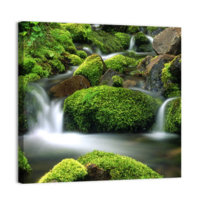 Mountain Stream Wall Art