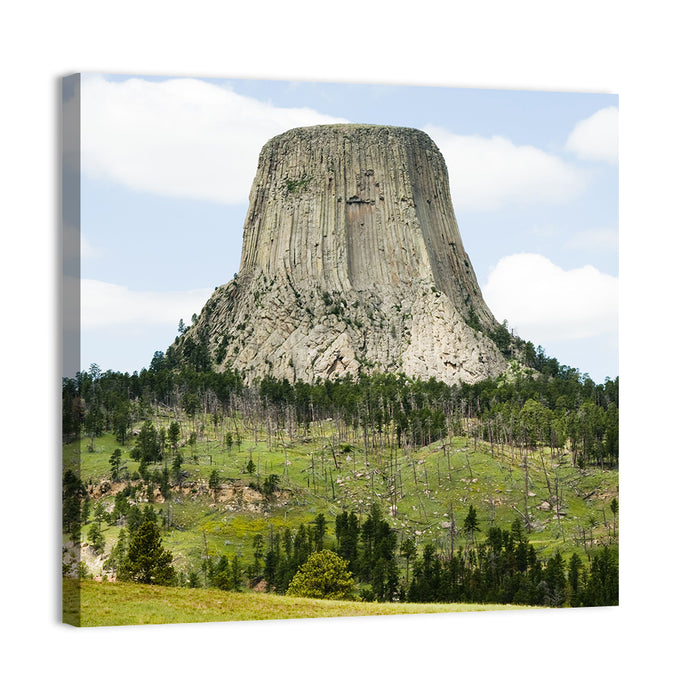Devils Tower Columnar Monolith Wall Art as a canvas print