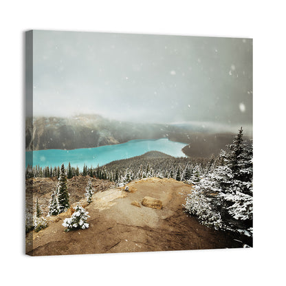 Peyto Lake In Winter Wall Art