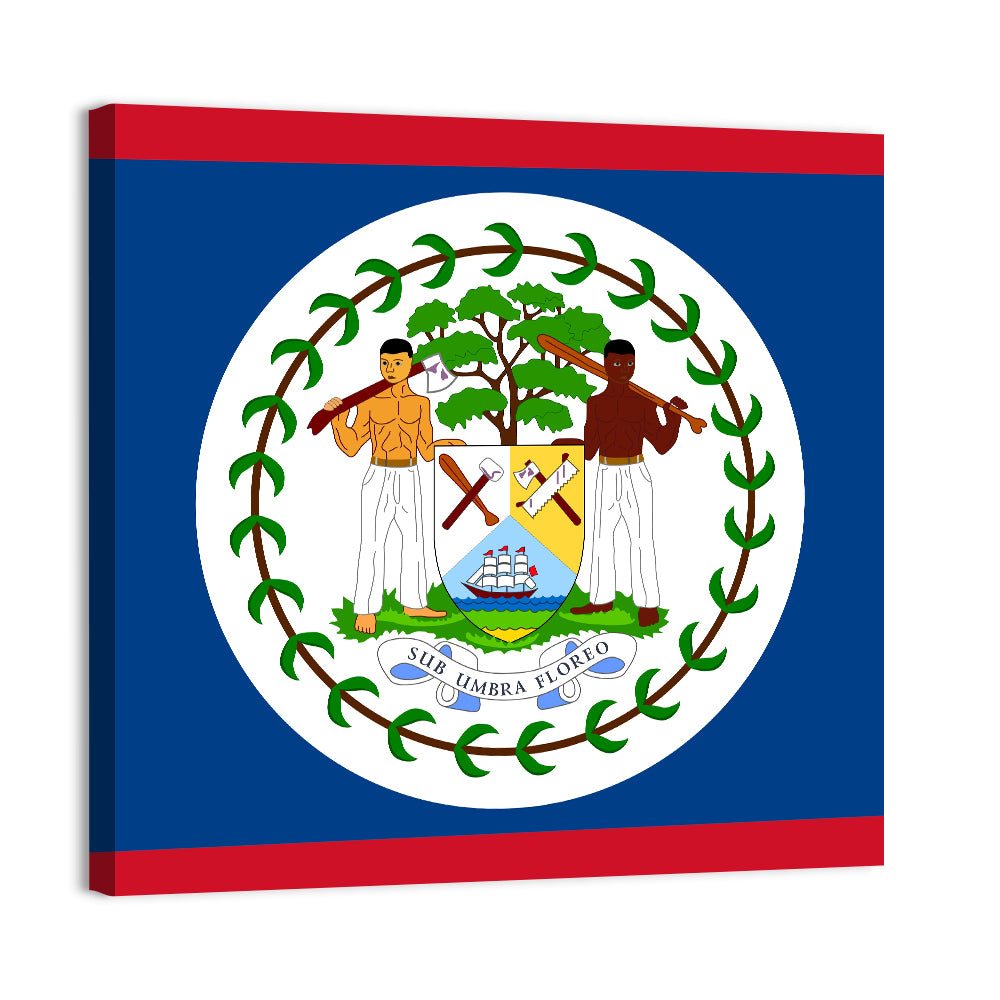 Belize National Flag Emblem Wall Art