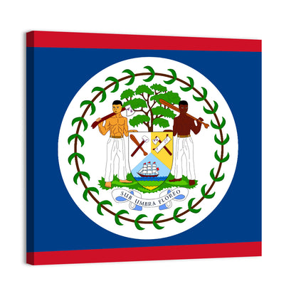 Flag Of Belize Wall Art