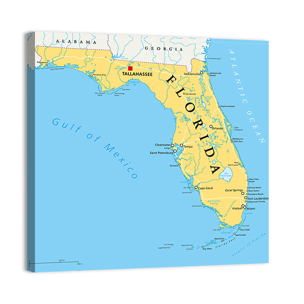 Florida Political Map, Blue and Yellow Wall Art