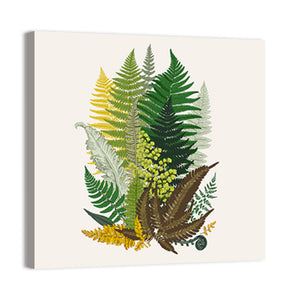 Leaver Ferns Composition Wall Art