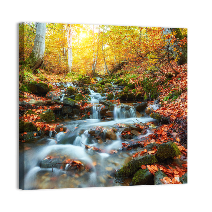 Backlit Autumn Forest Stream Wall Art as a canvas print