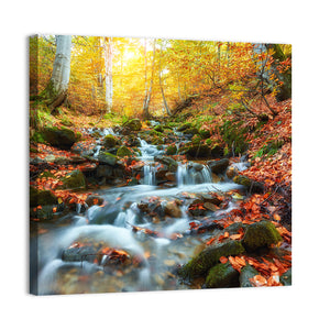 Autumn Stream In Forest Wall Art