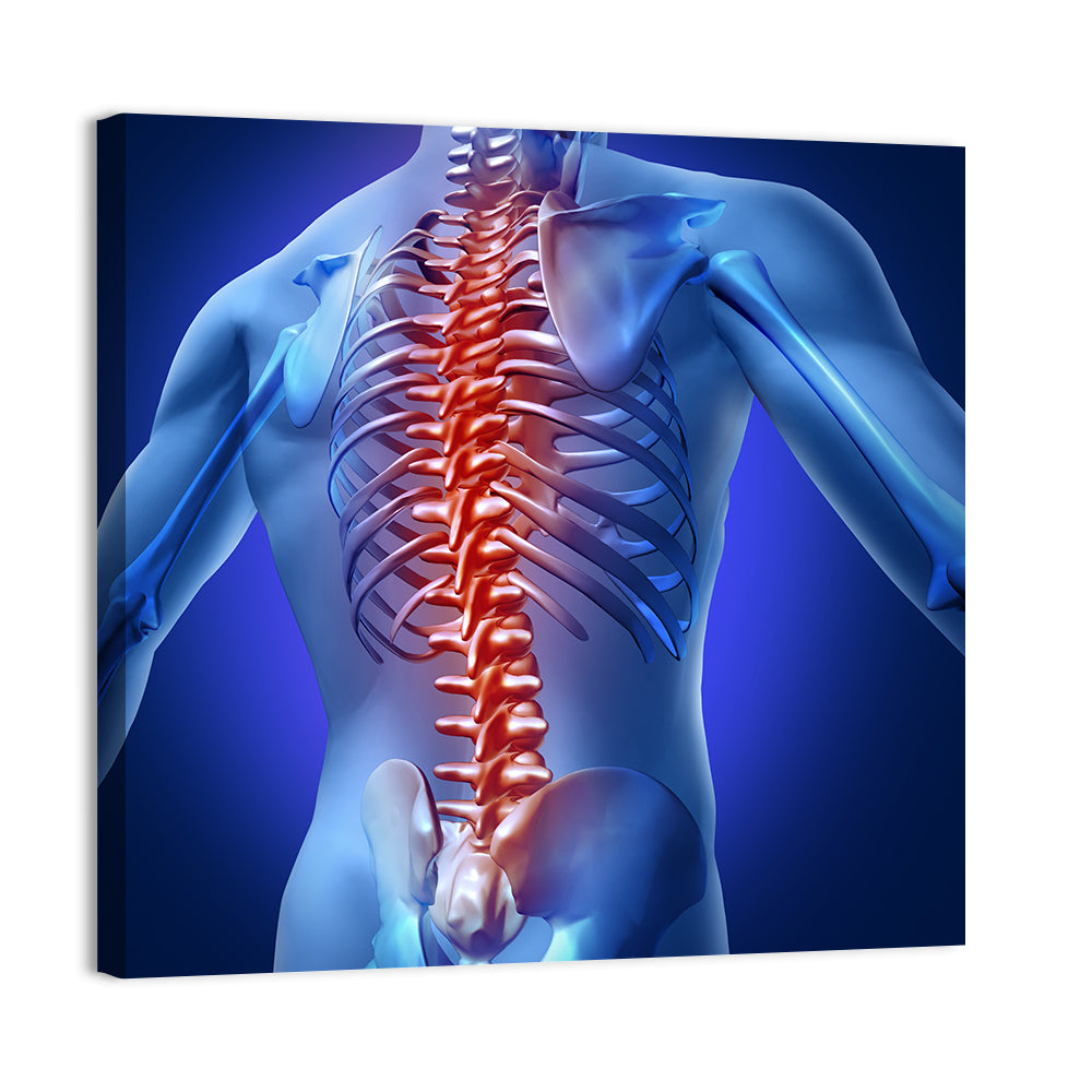 Spine Pain Anatomy Illustration Wall Art, canvas print, square